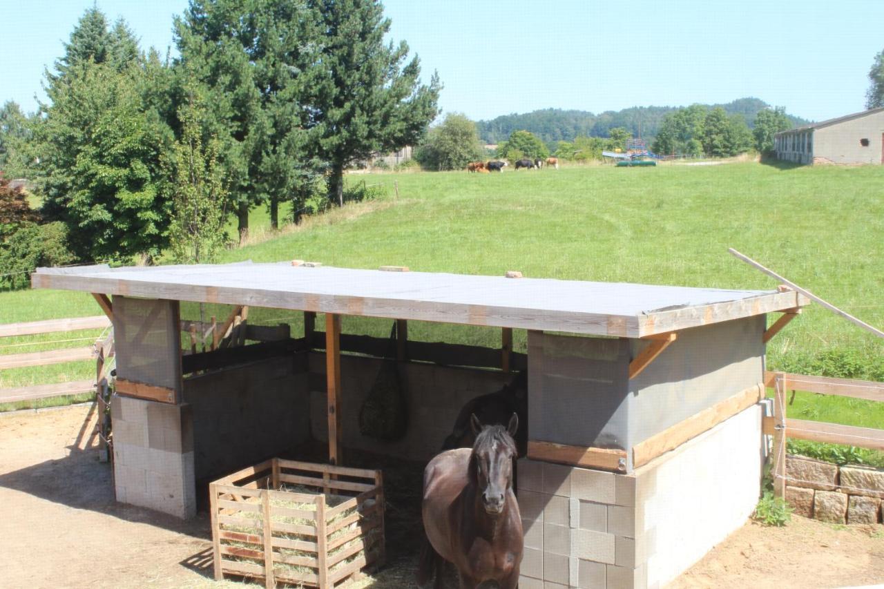 Feldblick Struppen